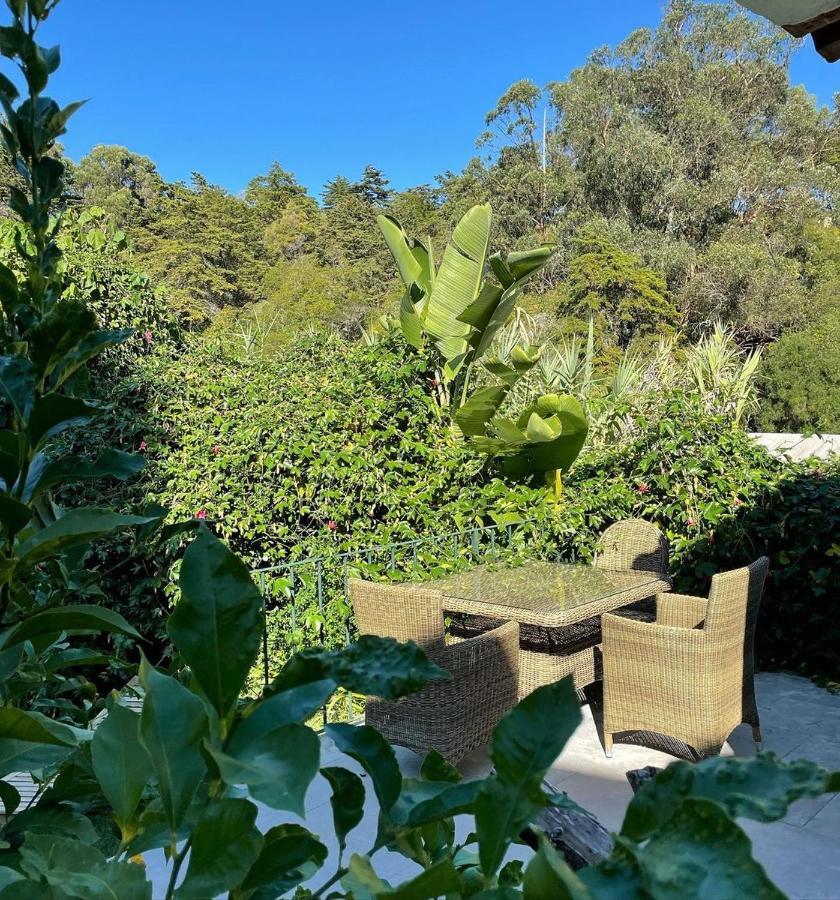 Casa Holstein Quinta De Sao Sebastiao Sintra Hotel Exterior photo